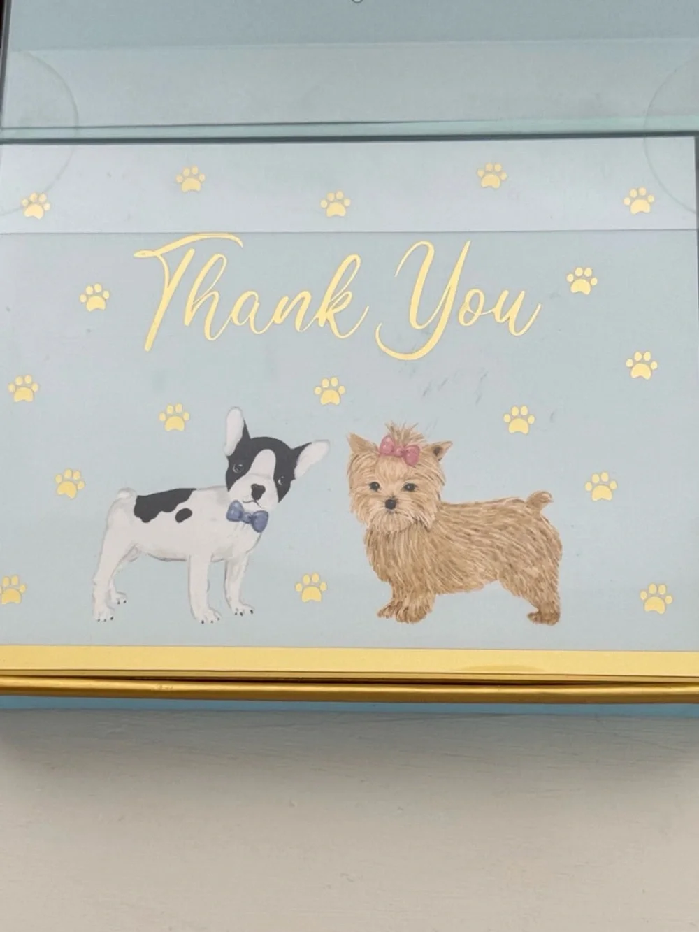 Lady Jayne Boston Terrier & Yorkie Thank You Card Set